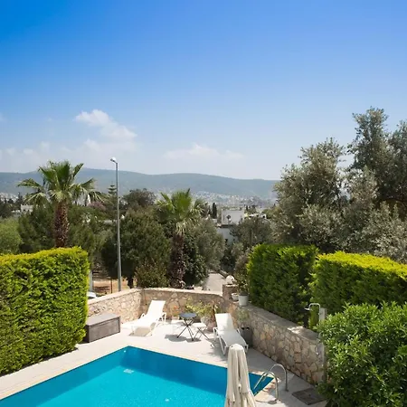 Important Group Olivia * Bodrum